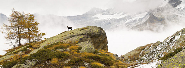 Parco Nazionale Gran Paradiso
